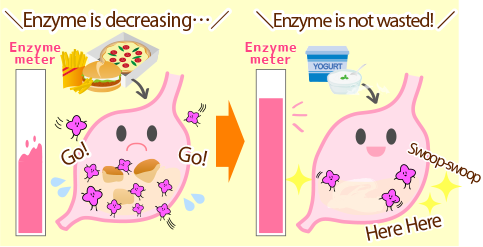 Does enzyme in our body increaseif we take enzyme?