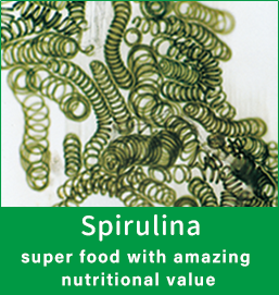 Spirulina