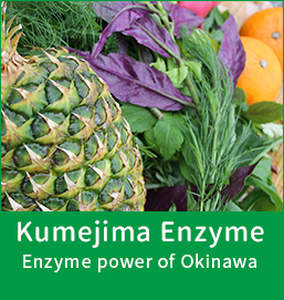 Kumejima Enzyme