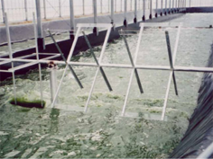 A lot of air is carried by turning paddle.