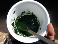 This is raw・Furousou which is harvested just now!
