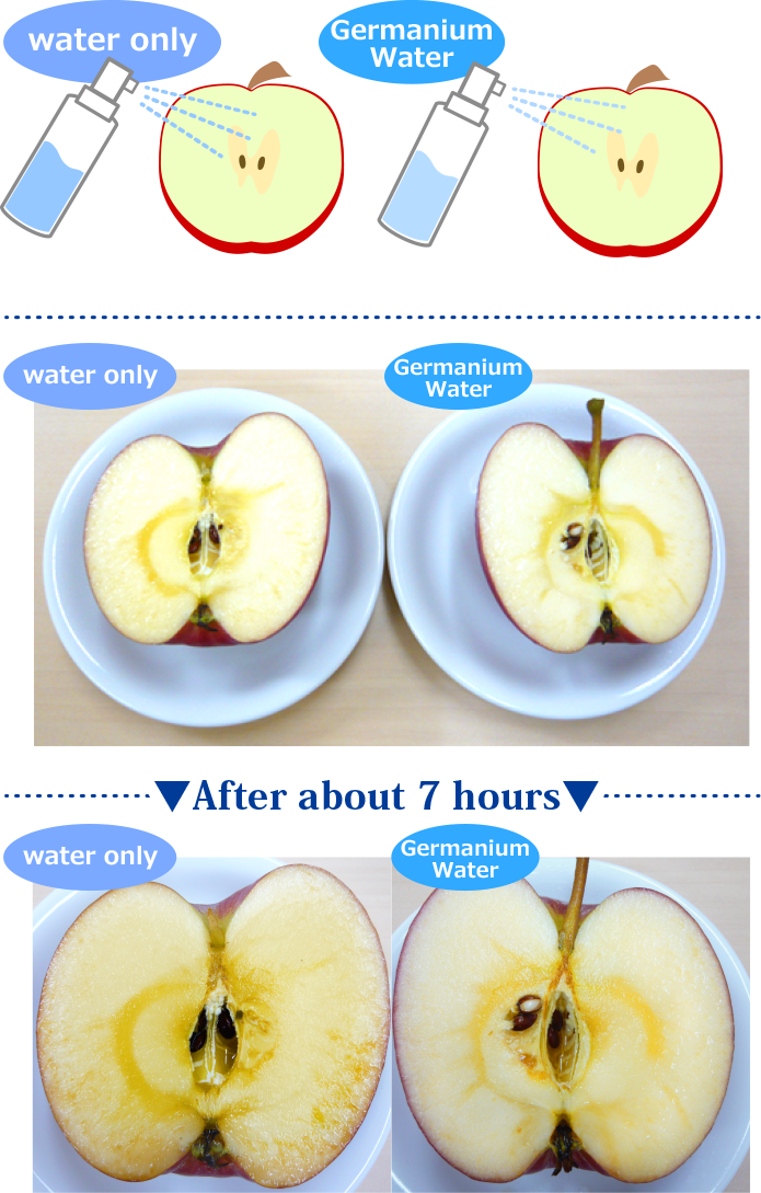 Experiment 2 of organic germanium