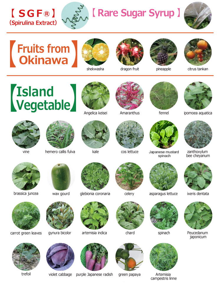 More than 80 kinds of pesticide-free ingredients are fermented by only rare sugars!