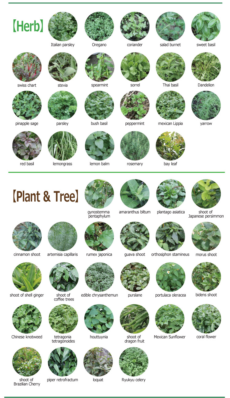 More than 80 kinds of pesticide-free ingredients are fermented by only rare sugars!